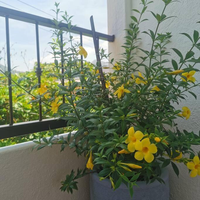 1 Bedroom Apt With Ac , Tv , Wi-Fi Near Dt And Beach Zihuatanejo Exterior foto